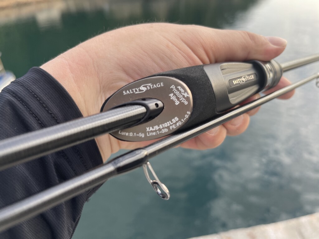 ソルティーステージ プロトタイプ アジング】アブガルシアから2022年3