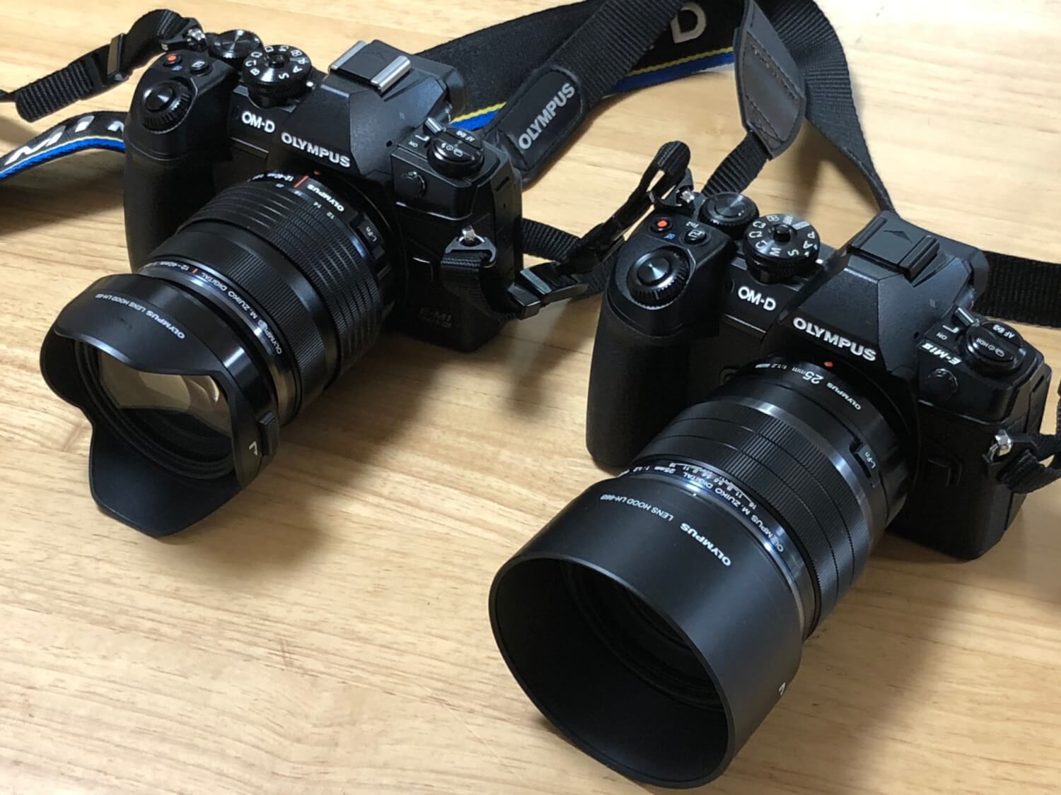 OLYMPUS OM-D E-M1 Mark III レビュー】E-M1 Mark IIと比較。違いも