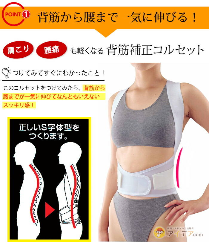 楽天市場】背筋 伸ばす 背筋矯正ベルト 日本製 S M L LL コルセット