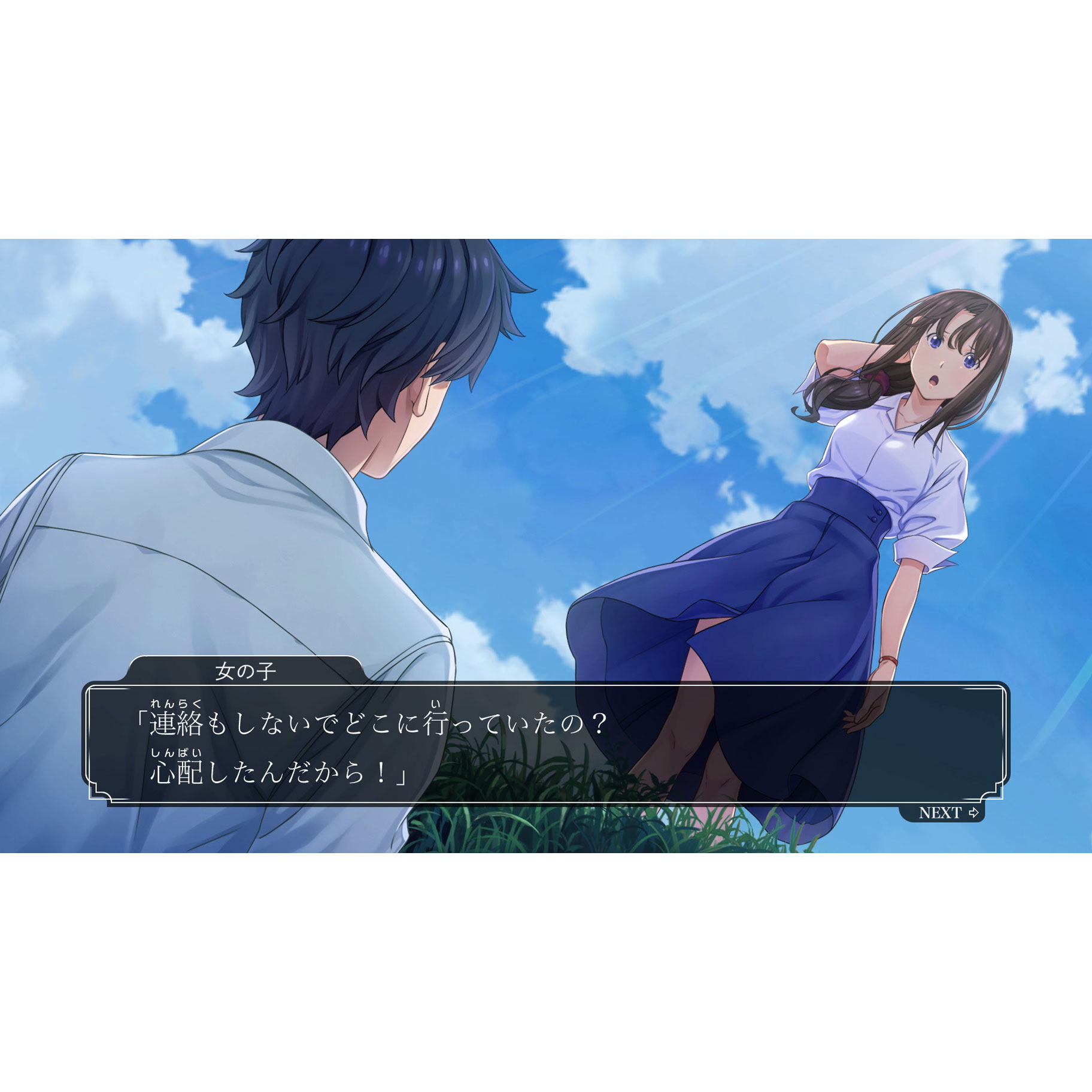 ファミコン探偵倶楽部 消えた後継者・うしろに立つ少女 COLLECTOR'S