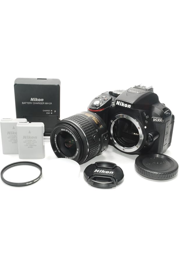 今すぐ使えるかんたんmini NikonD5300基本&応用 撮影ガイド | MOSH