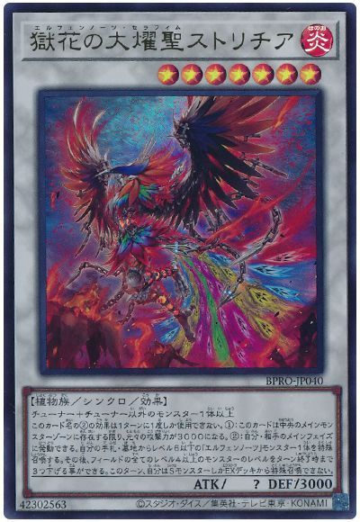 2025年 エルフェンノーツ 入門書】センターでこそ耀く、美しきシンクロ