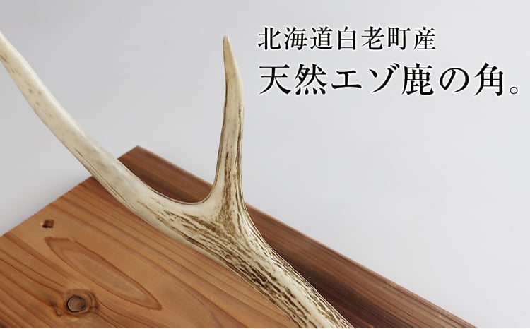 sd2_6cb0495dbccf27ecc1e4170eed