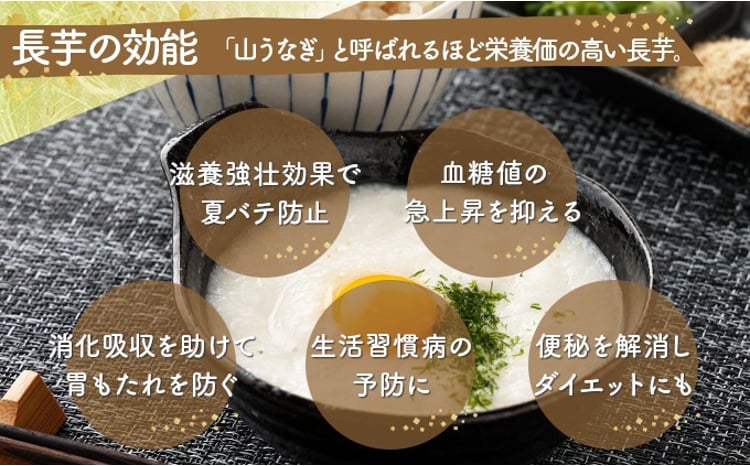 1.8kg！冷凍長芋とろろ 50g×36個【青森県産とろろ 冷凍 長芋 山芋 生活