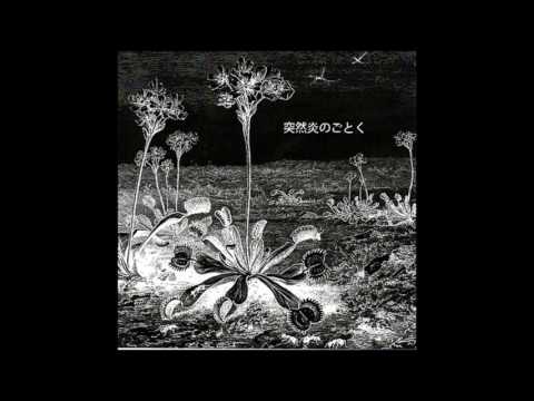 LSD March music, videos, stats, and photos | Last.fm