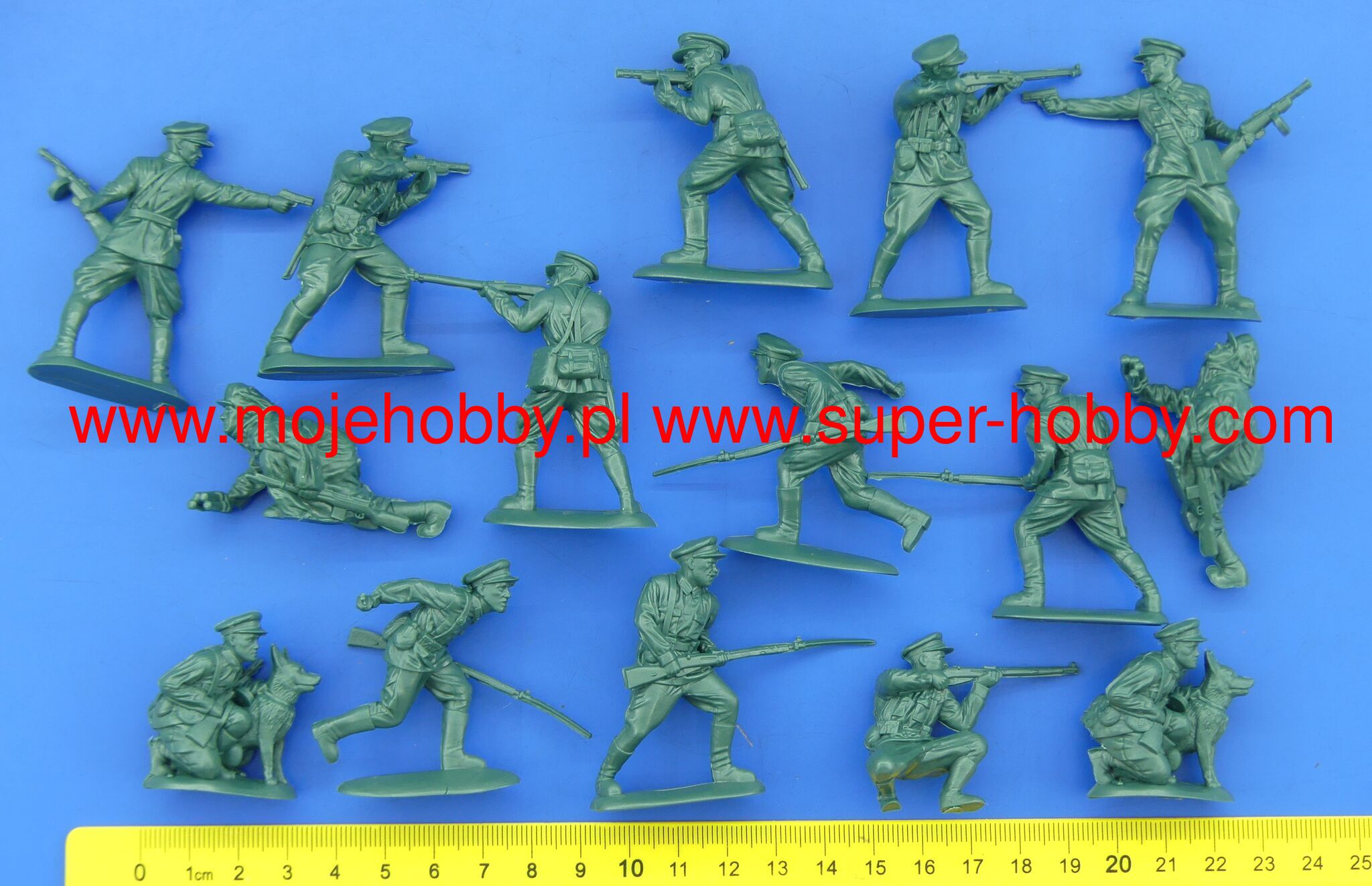 Soviet WWII Border Guards Mars 32043