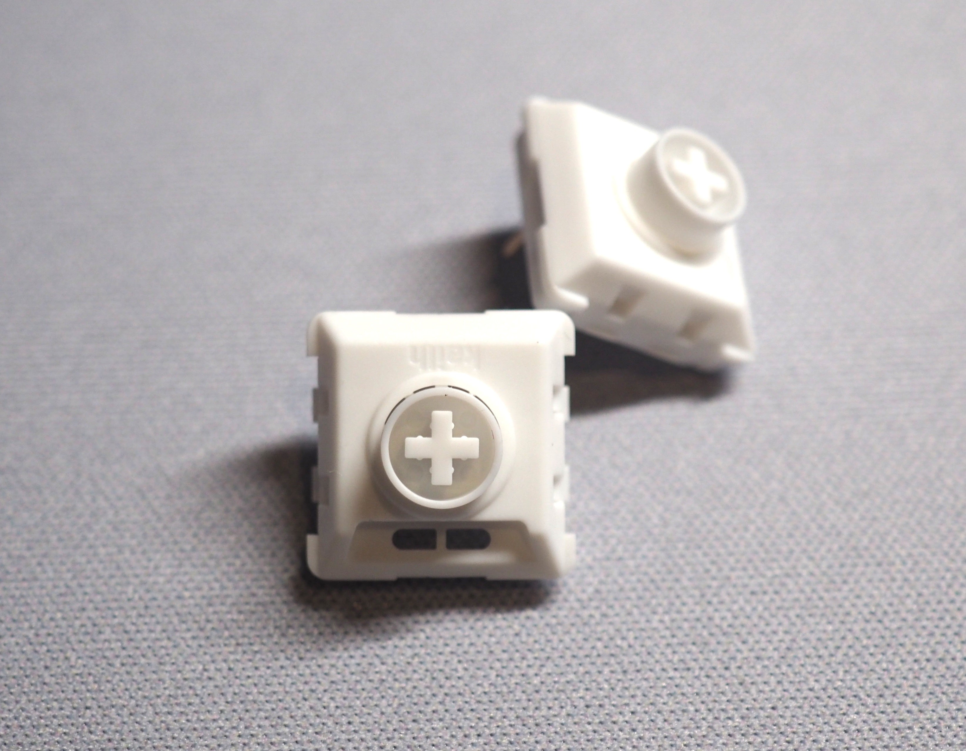 P8070001.jpg?v=1740649390&