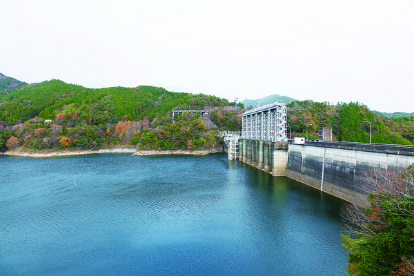 早明浦ダム | 食・グルメ検索 | 高知県観光情報Webサイト「こうち旅