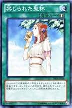 Amazon.co.jp: 禁じられた聖杯