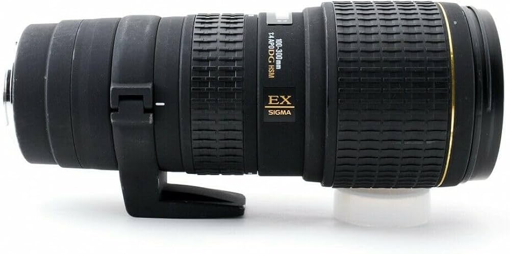 Amazon.co.jp: シグマ 100-300mm F4 APO EX DG HSM キヤノン用 : 家電