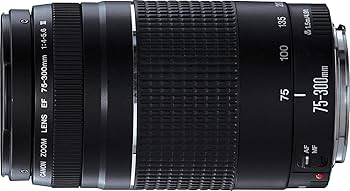 Amazon.com : Canon Ef 75-300mm F/4-5.6 III Telephoto Zoom Lens for