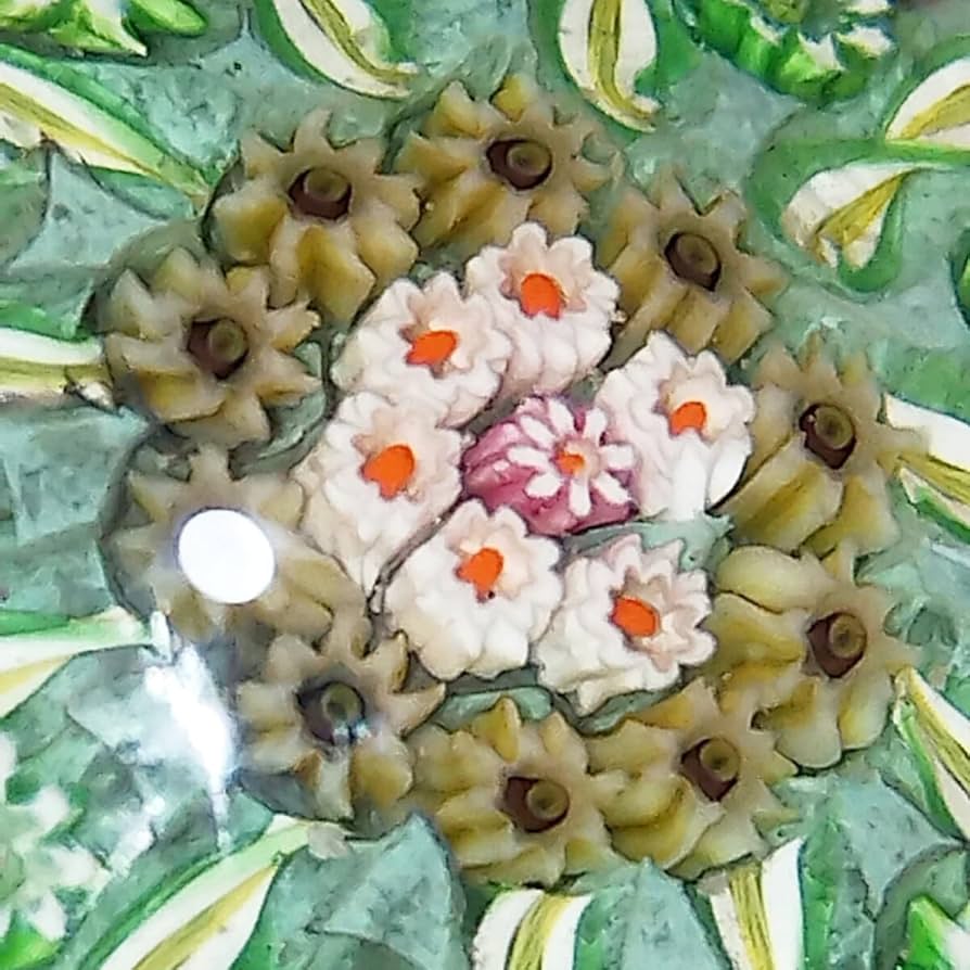 ✴️ジョン・ディーコン PERTHSHIRE スコットランド製 ペーパー