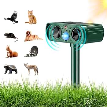 71kTcFabqwL._AC_UF350,