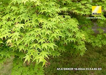 Amazon.co.jp: Nikon 超広角ズームレンズ AF-S NIKKOR 18-35mm f/3.5