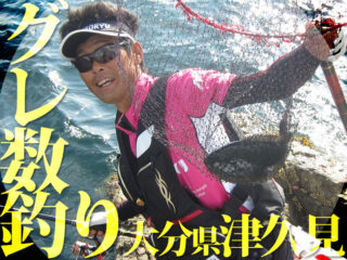 マキエで釣り分け、グレの数釣り〜大分県津久見市 | マルキユー九州