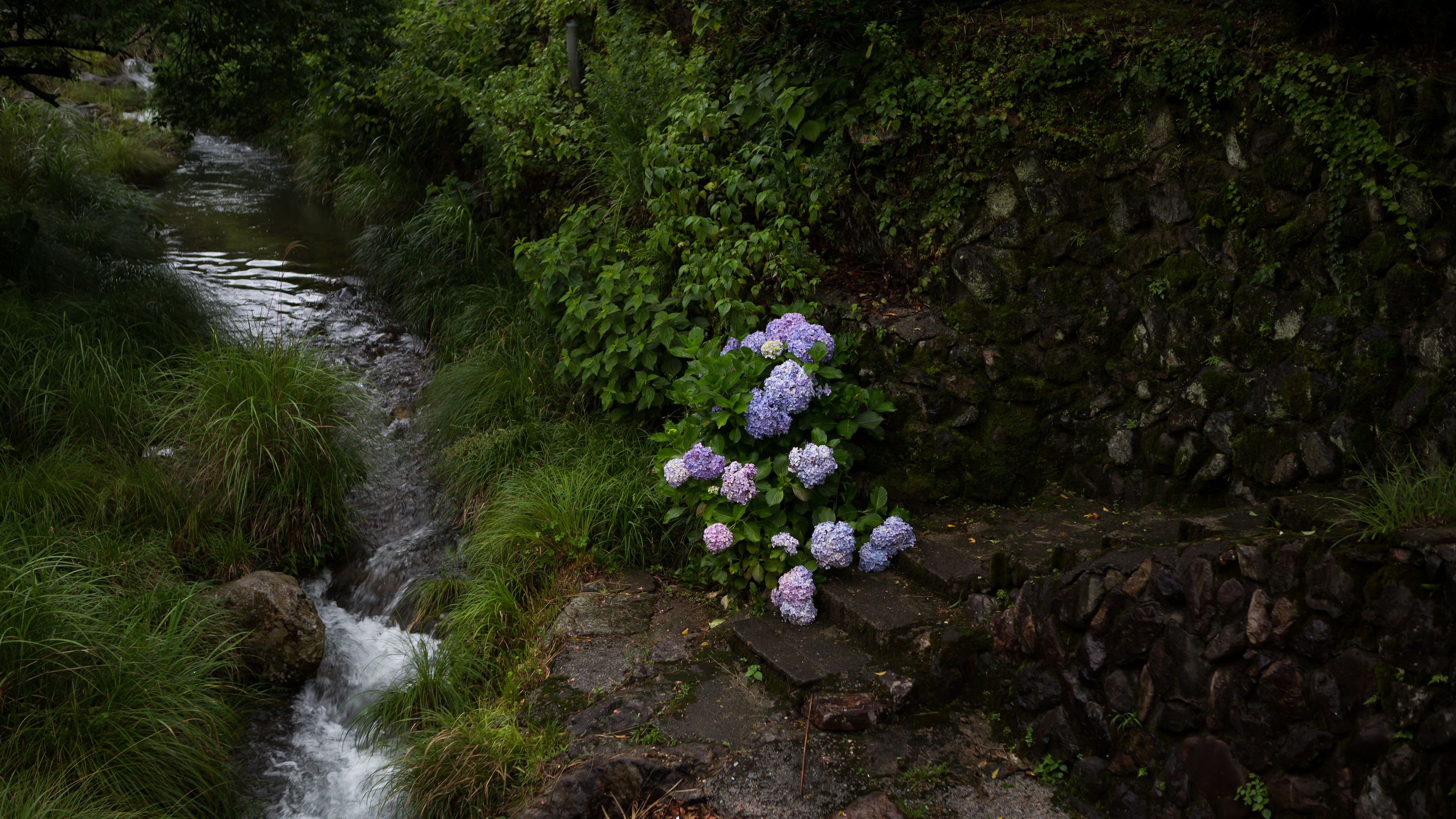 山口・長門で古くから愛される、深川萩の窯元を訪ねて | GQ JAPAN