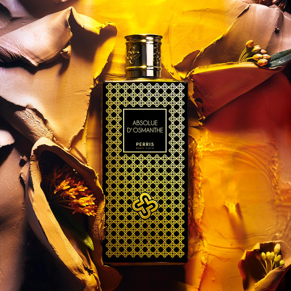 17 ナンダン ロード – NOSE SHOP