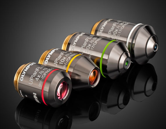 オリンパス製対物レンズ | Edmund Optics