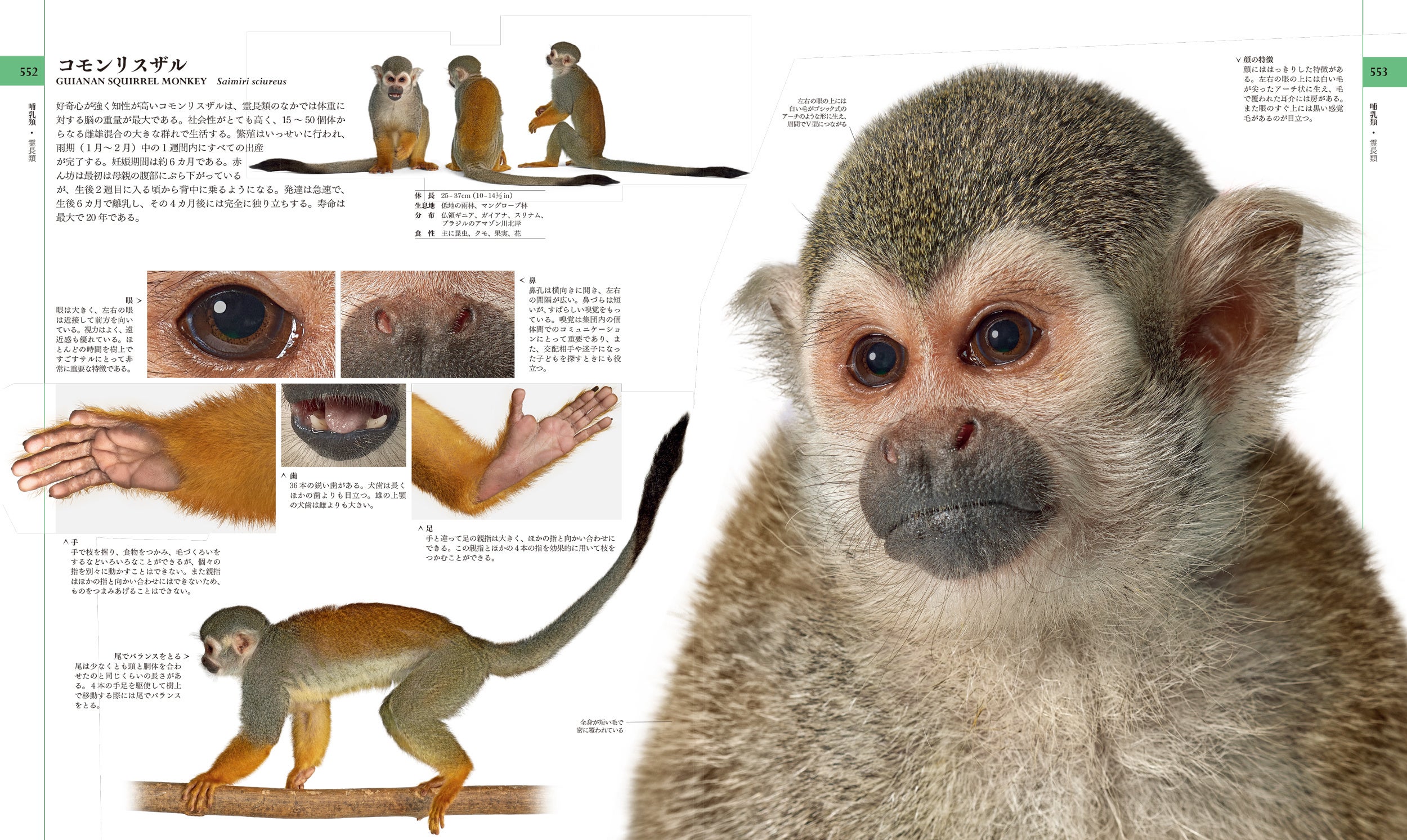 2刷出来＞話題沸騰！！生命の多様性を完全網羅した、世界最大の