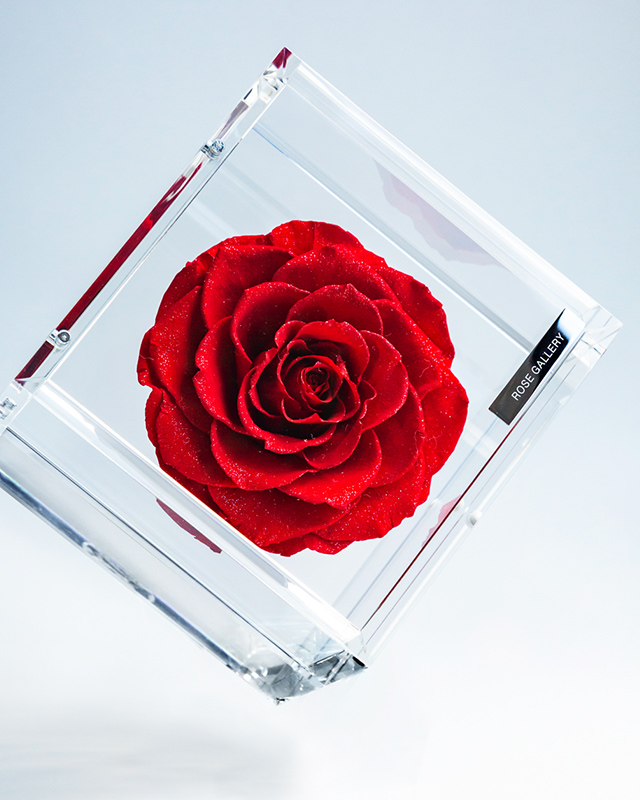 ミュゼ ダイヤモンドローズボックス(L) | ローズギャラリー銀座