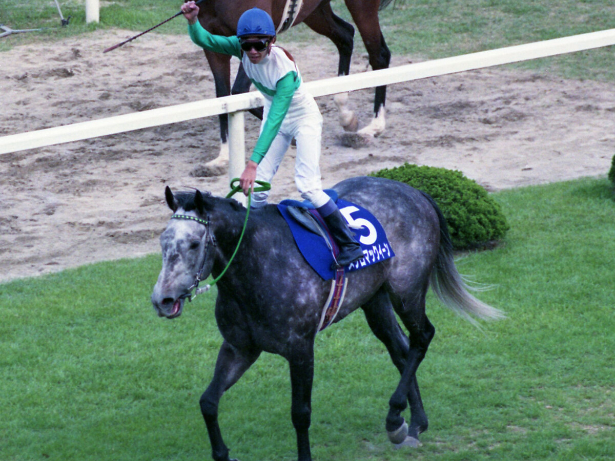 ウマ娘』でも再現されている宿命 メジロマックイーンが「世紀の対決