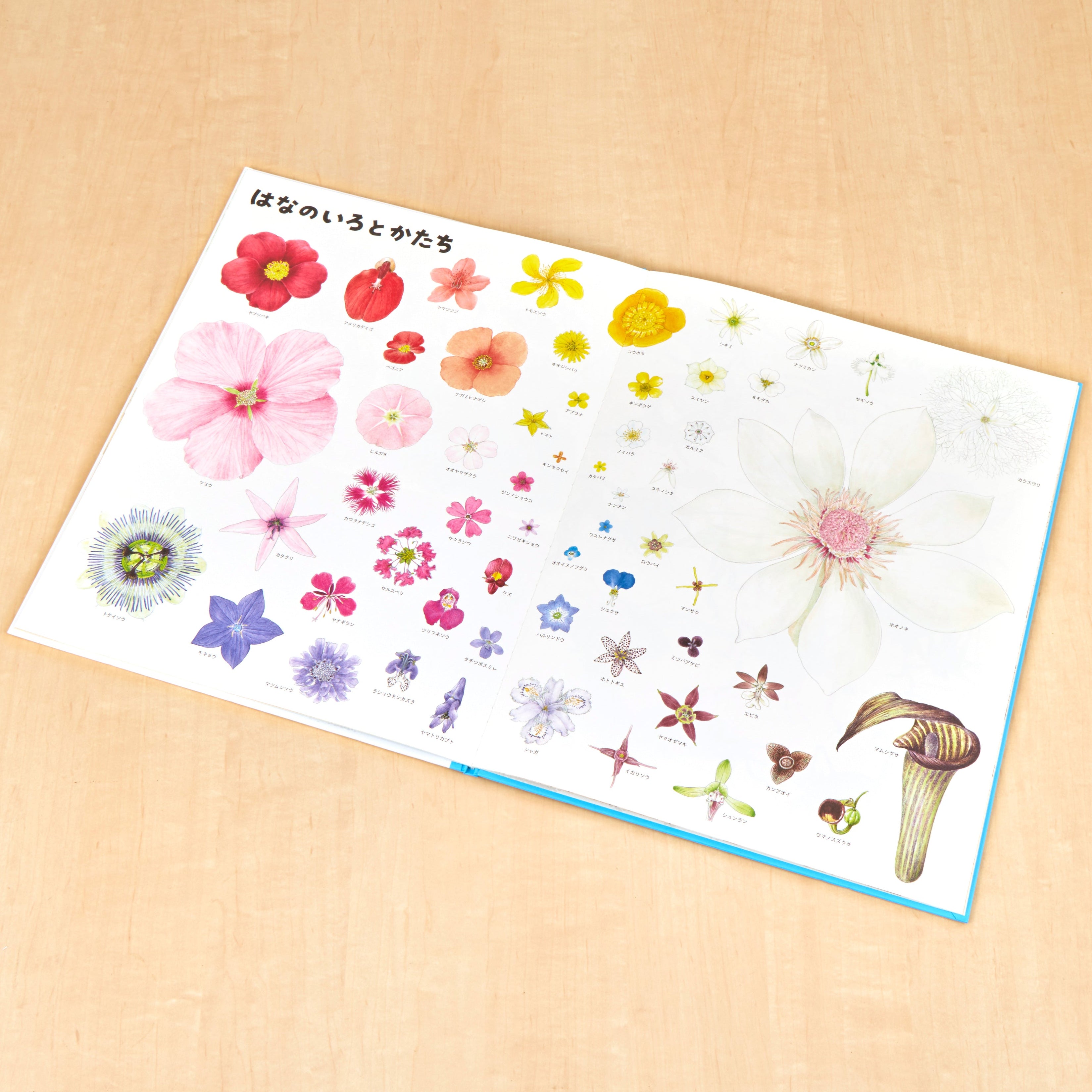 いきものづくし ものづくし 12冊セット – 福音館書店 オンラインストア