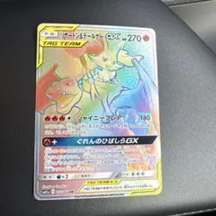 2026年最新】リザードン テールナーの人気アイテム - メルカリ