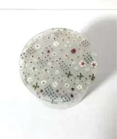 2026年最新】江波冨士子の人気アイテム - メルカリ