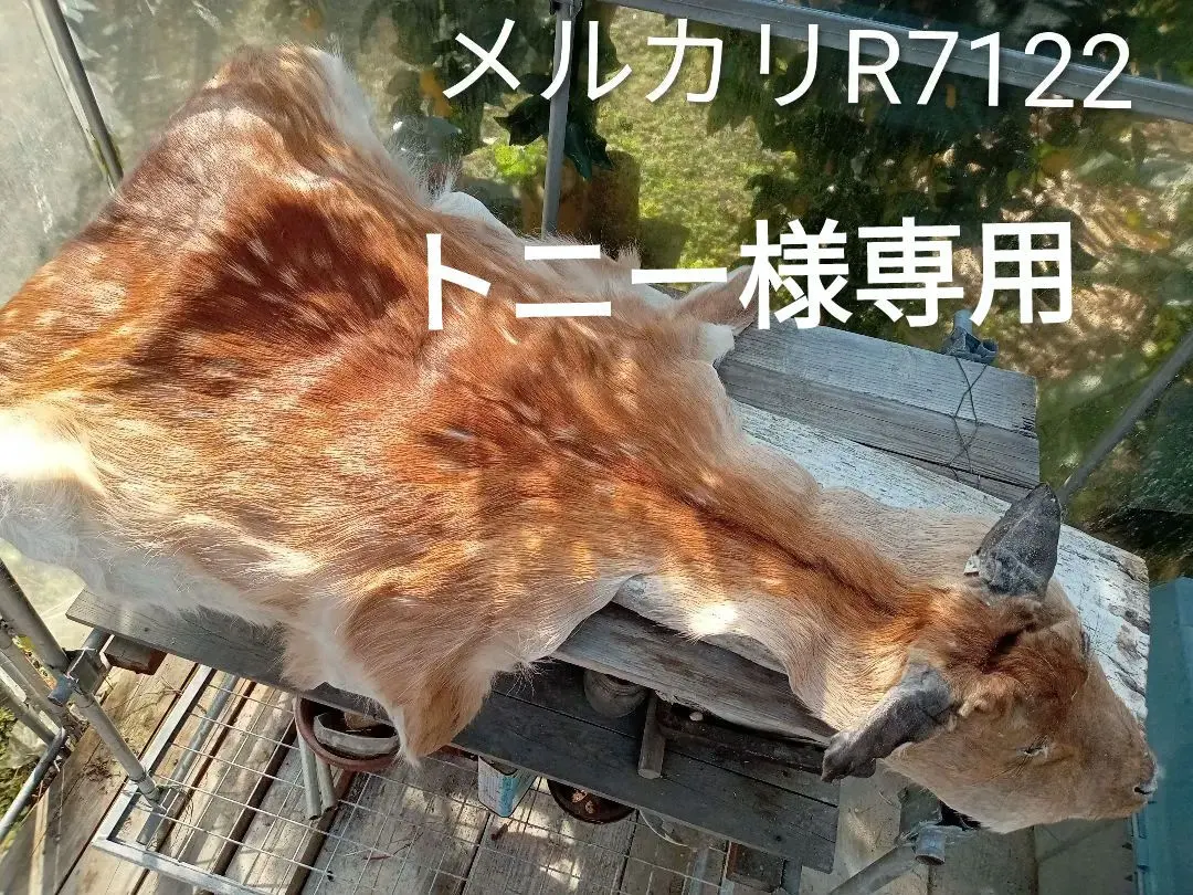 2026年最新】鹿 ラグ 毛皮の人気アイテム - メルカリ
