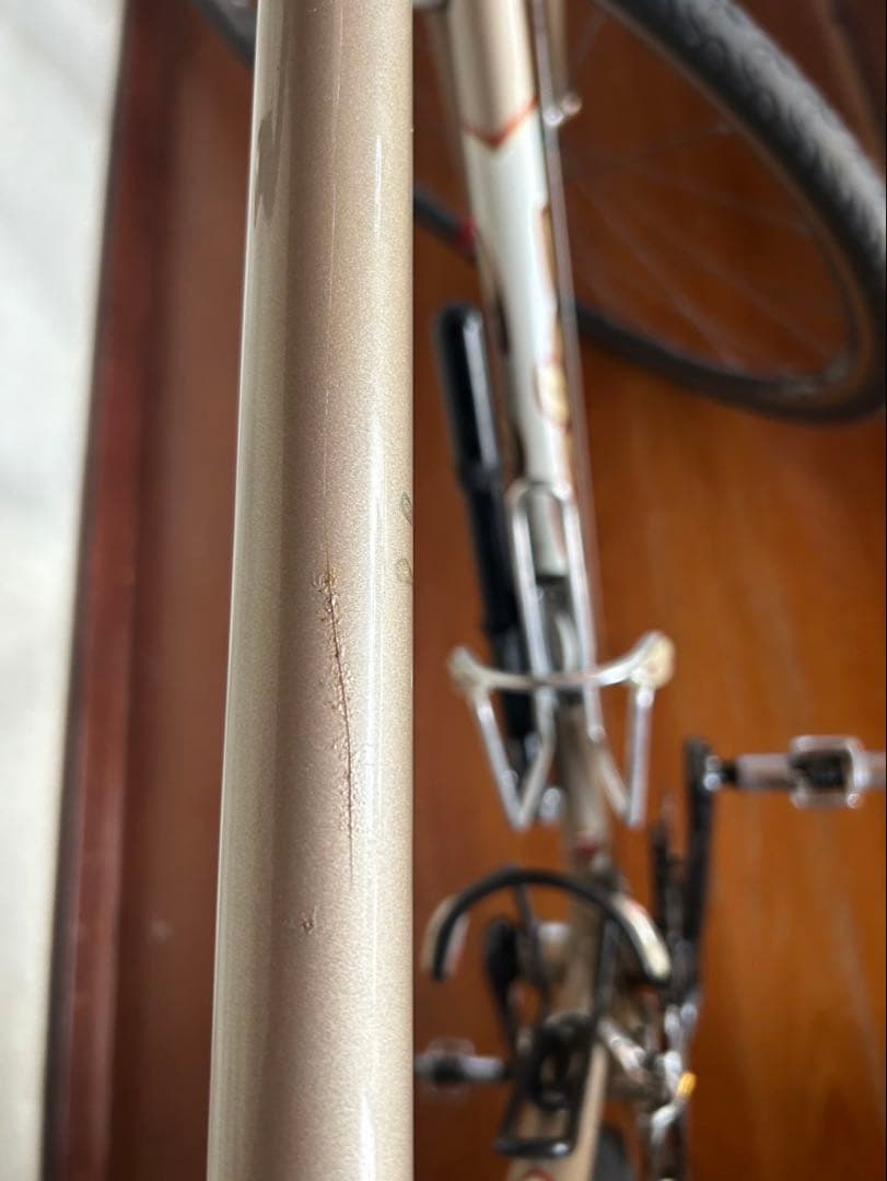 最終値下げ　Salsa Casseroll