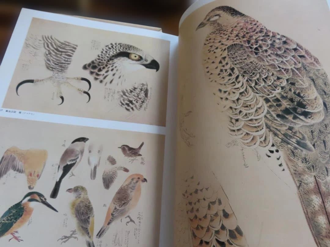古書 応挙写生画集 初版 - メルカリ