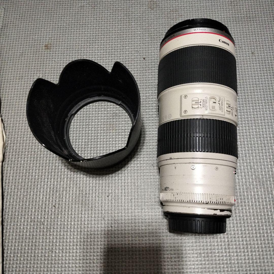 Canon EF70-200mm F2.8L IS Ⅱ USM　不具合あり 作例付き】キヤノン(CANON)EF70-200mm F2.8L IS II USM 評価・使用レビュー