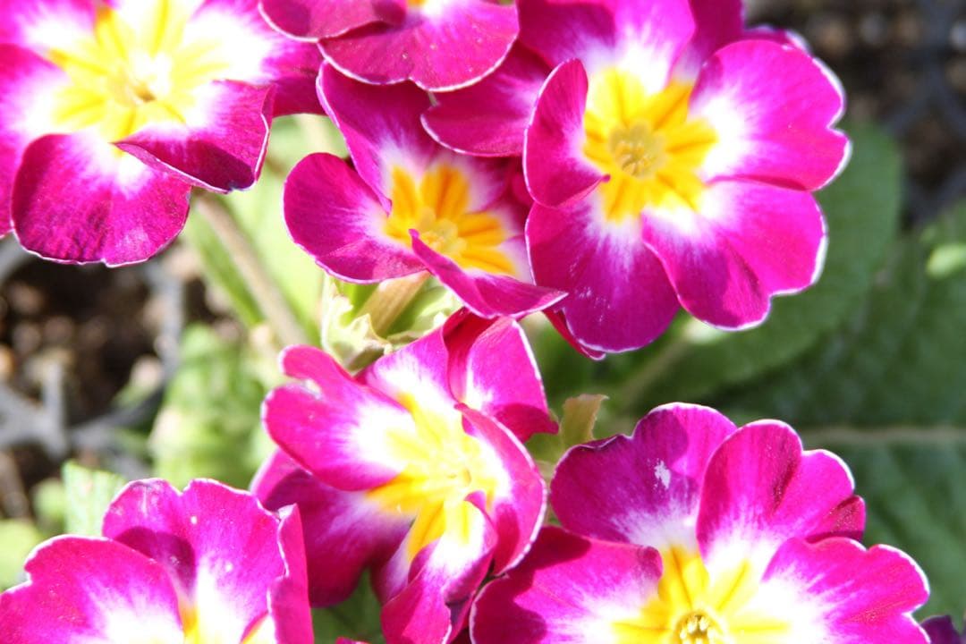 キヤノン　CANON EF 28-200mm f/3.5-5.6 USM ズーム