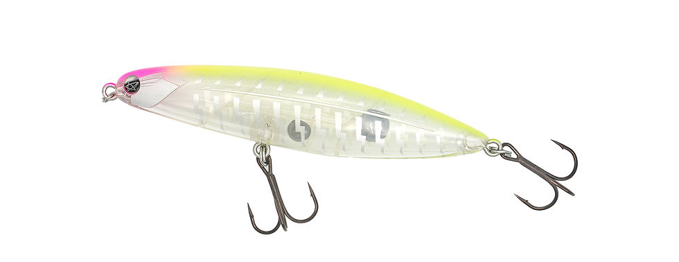 TYGAN110 | FISH MAGNET Official Web Site