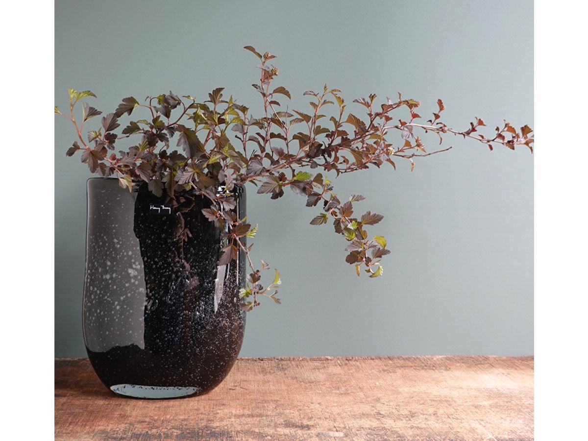 Henry Dean V.Sablon L / ヘンリーディーン V.サボロン L